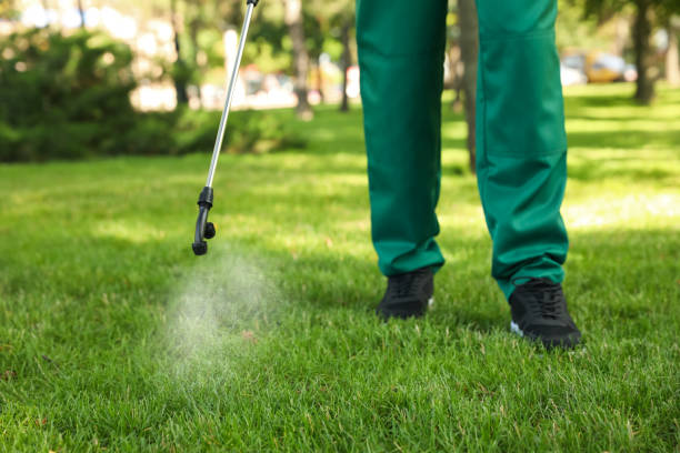 Best Best Pest Control Companies  in Weston, WI